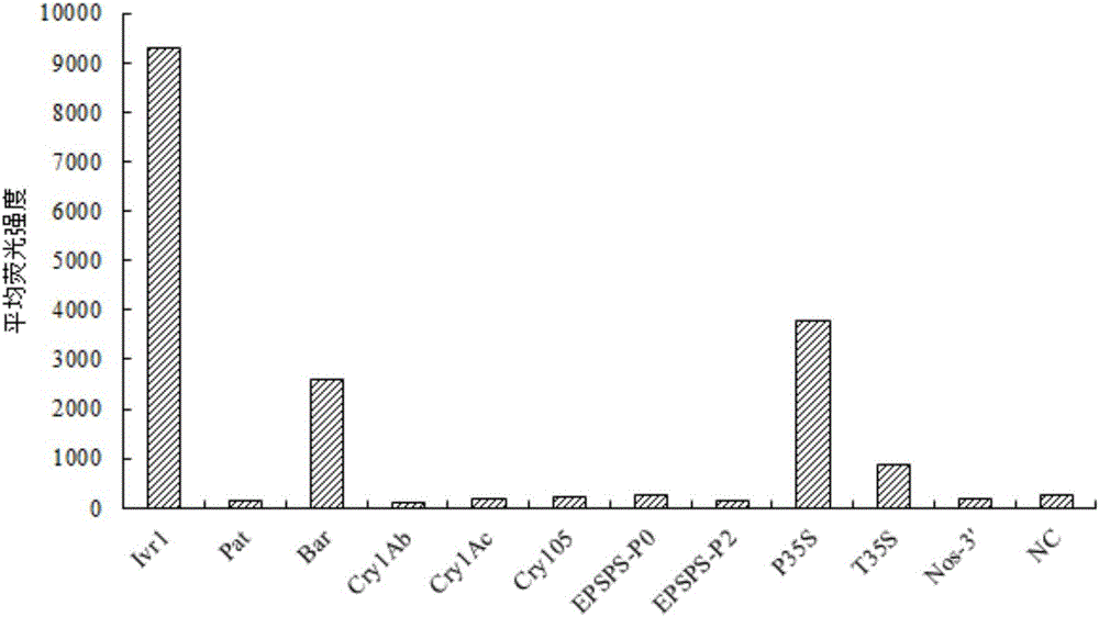 Probe combination, liquid-phase chip and kit for transgenic corn detection, and application thereof