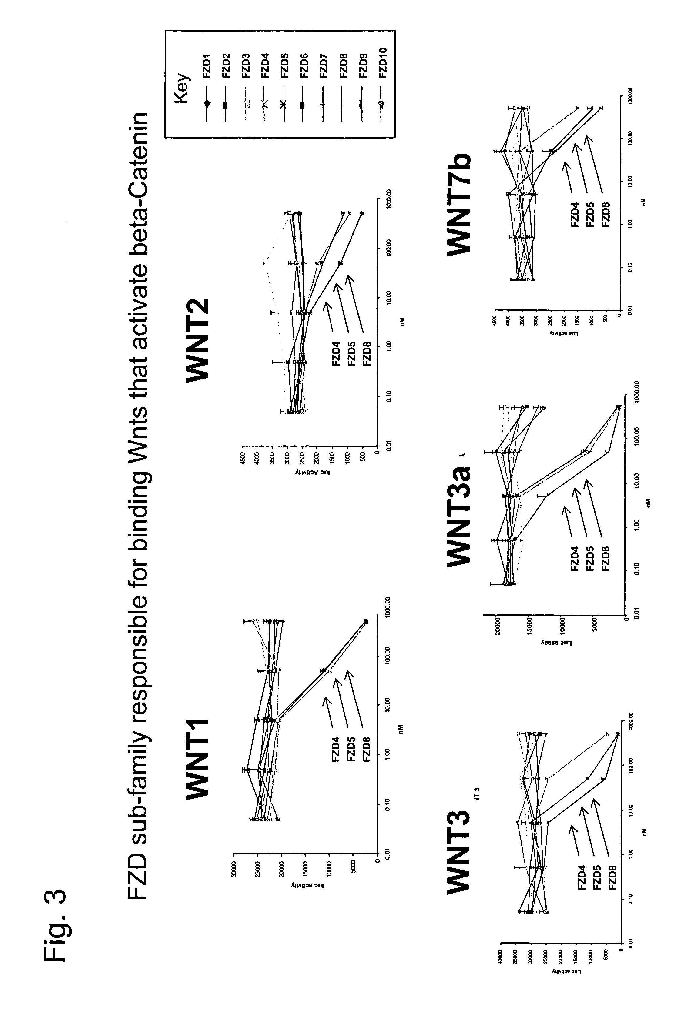 Compositions and methods for inhibiting Wnt-dependent solid tumor cell growth