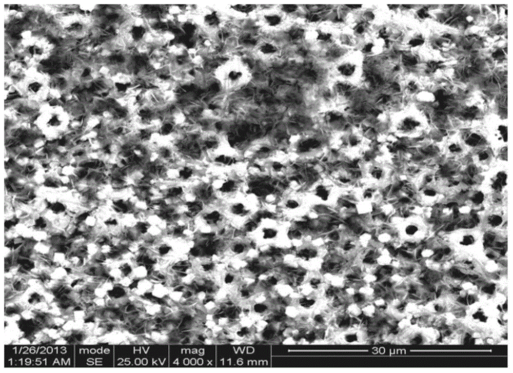 Preparation method and application of wear-resistant antibacterial bioactive ceramic film for titanium or titanium alloy surface