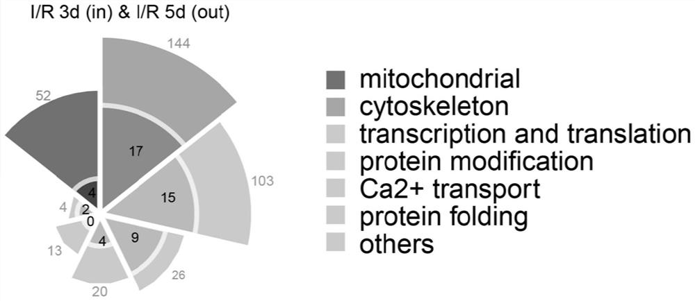 Application of crotonate, its preparation and its preparation method