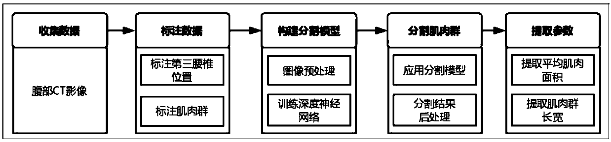 An abdominal muscle labeling method and device based on deep learning