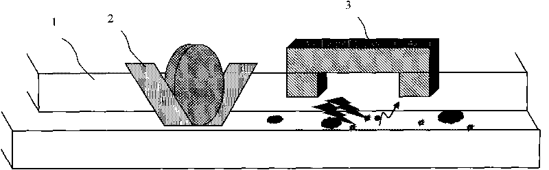 Cleaning device for liquid crystal module terminal and cleaning method thereof