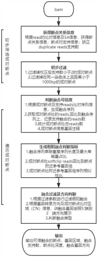 Rapid and ultrahigh-sensitivity DNA fusion gene detection method