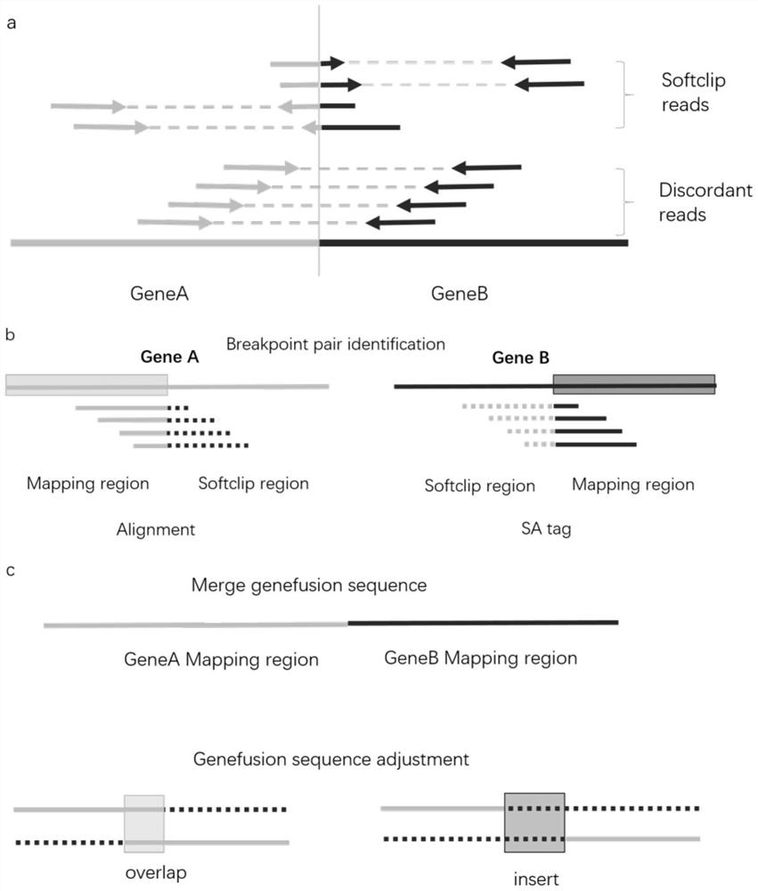 Rapid and ultrahigh-sensitivity DNA fusion gene detection method