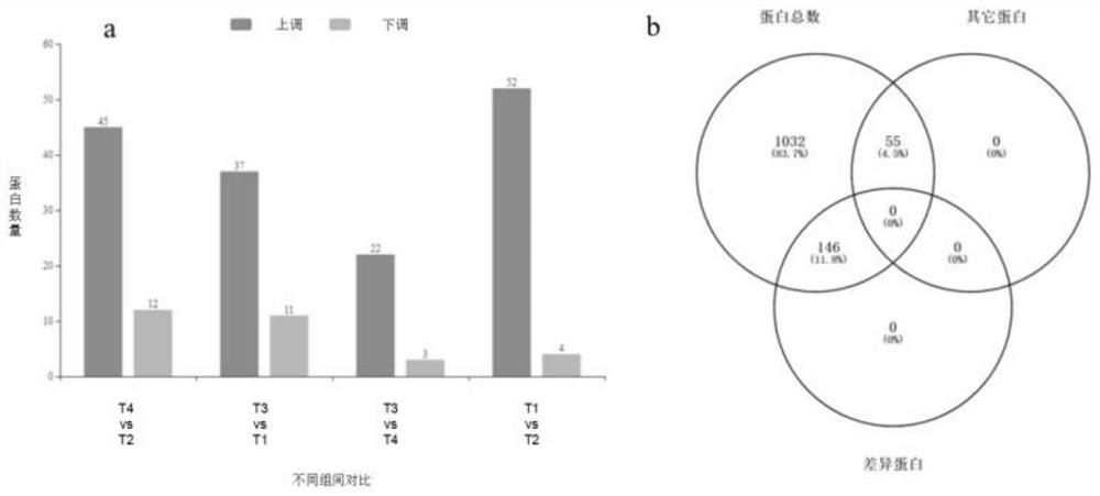 Application of comt protein in prediction of good response to superovulation in cynomolgus monkeys