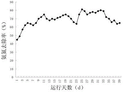 Aquatic compound microecologics and preparation method thereof