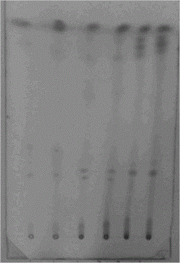 Test method for radix rehmanniae in scourge-clearing toxin-vanquishing powder