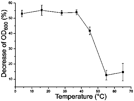 Bacillus cereus phage lyase, preparation method and application thereof