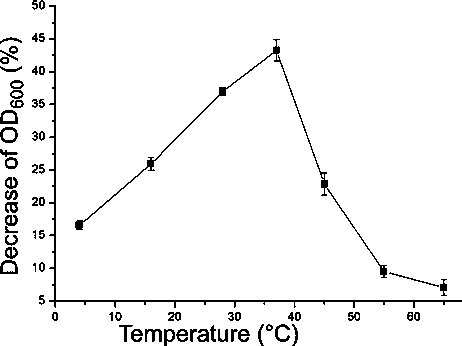 Bacillus cereus phage lyase, preparation method and application thereof