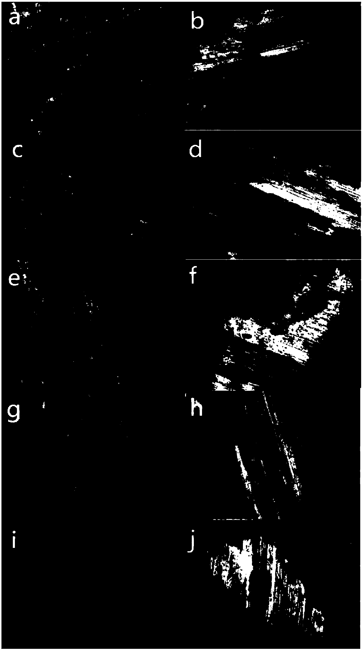 High-speed low-load medium friction coefficient basalt fiber reinforced friction material and preparation method