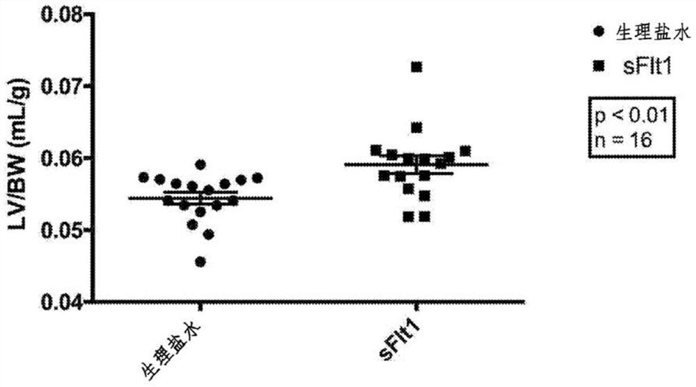 Methods and compositions relating to lung repair