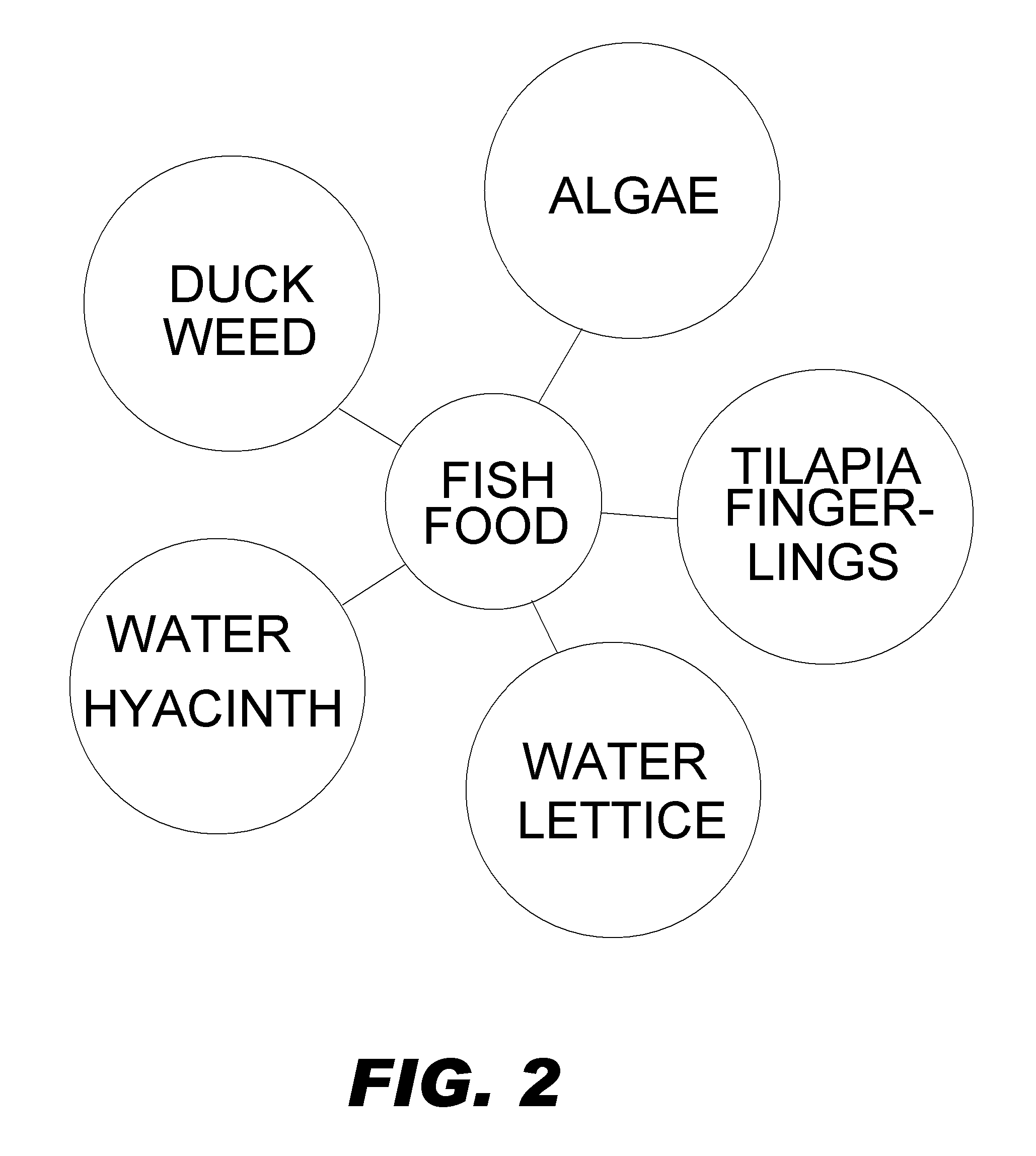 Sustainable Aquaponic System and Method Using Alternative Aquaculture Feed, Fingerling Production and Green Energy Sources