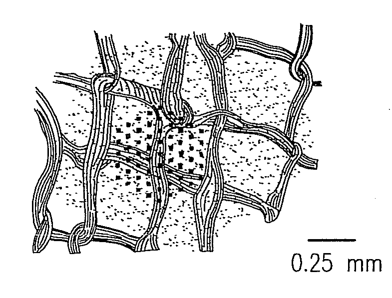 Method and Apparatus for Visual Neural Stimulation