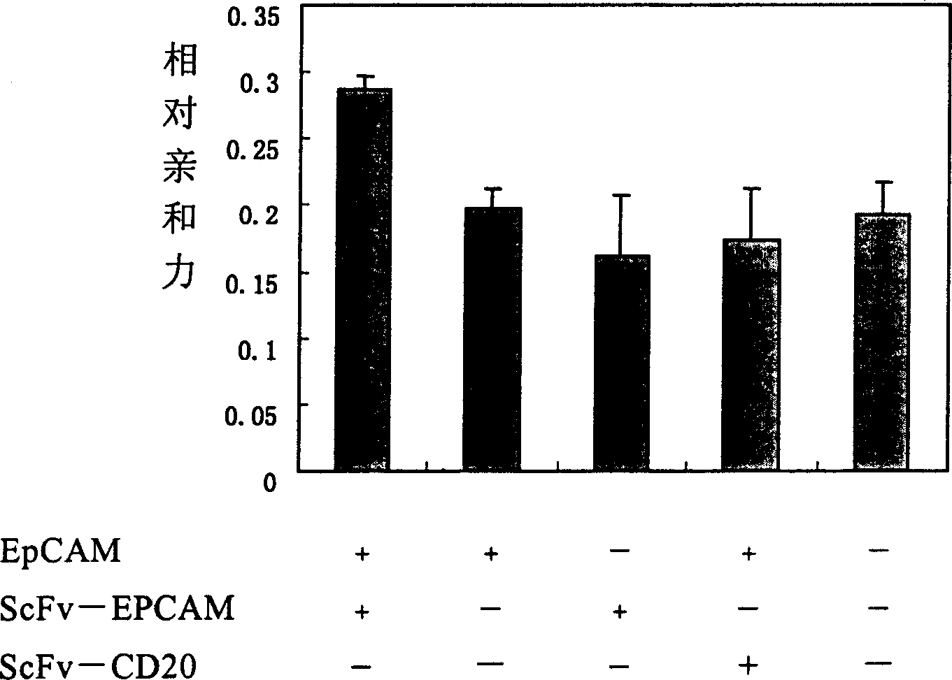 Human Source antibody for anti CD20 and epithelial cell adhesion molecule