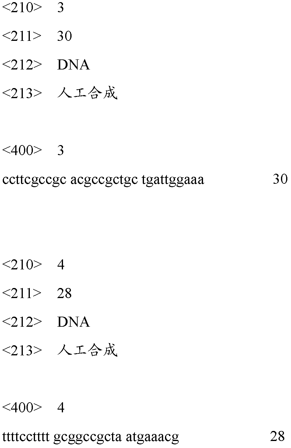 Method for disrupting seaweed cells by using yeast display pectinase cooperated with ultrasonic waves