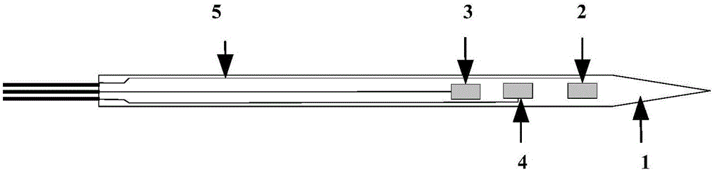 Biological sensor with micro-electrode and application of biological sensor to detecting salicylic acid of plants in online manner