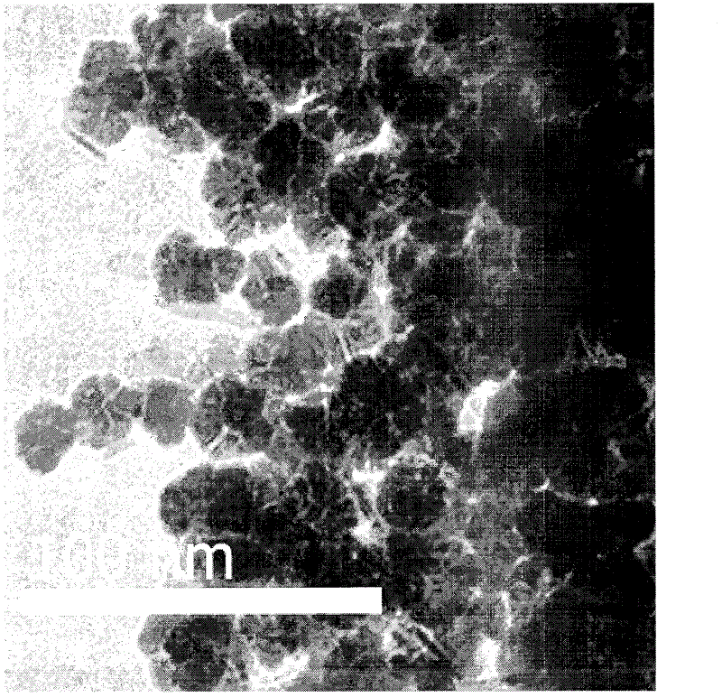 Novel preparation method of amorphous alloy catalyst