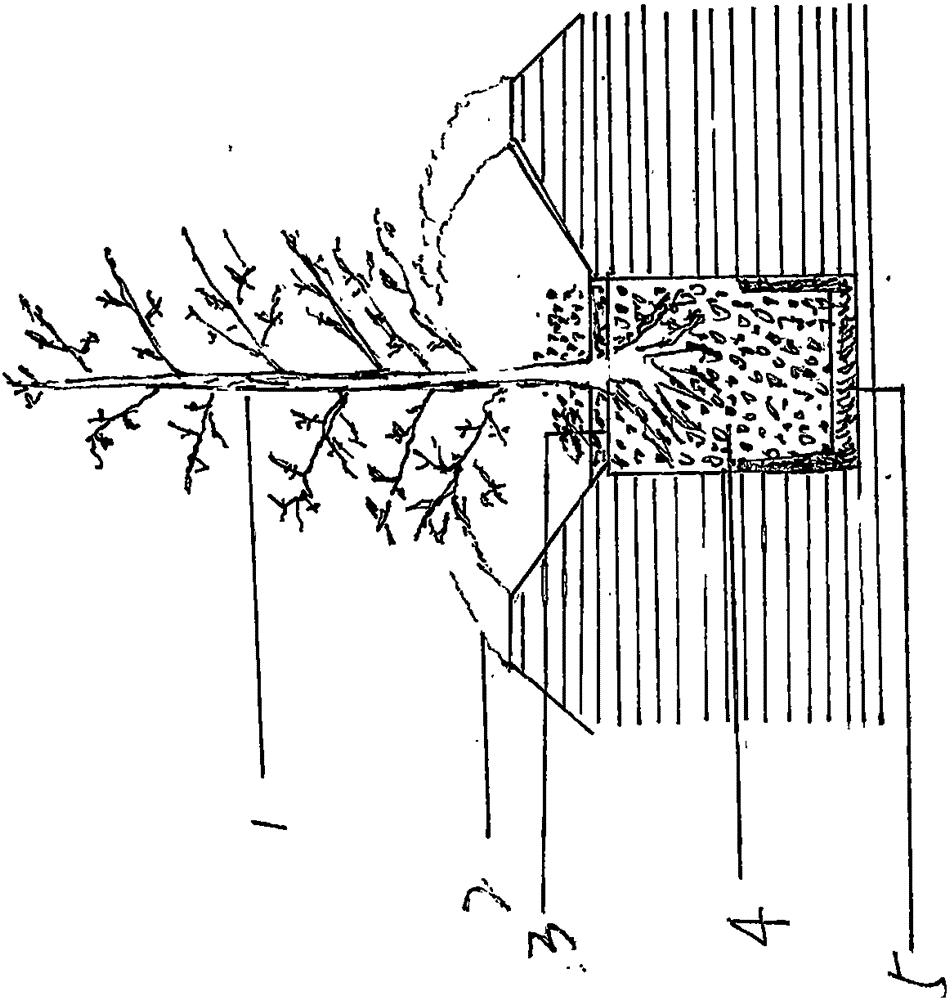 Plant planting soil moisture preservation water-saving fast growing method