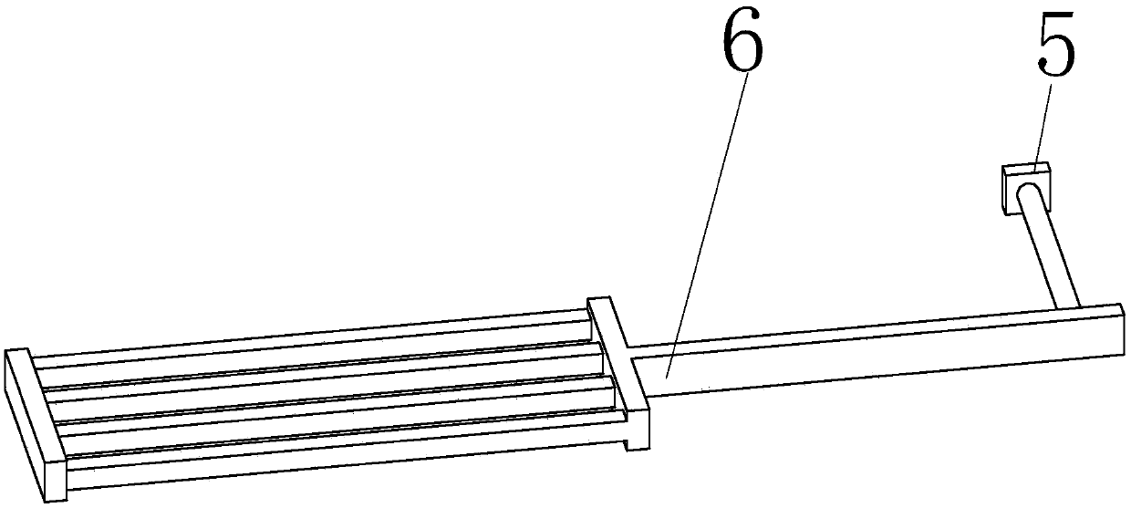 Large-particle margarya melanoide throwing feeding device for leech culturing in pond