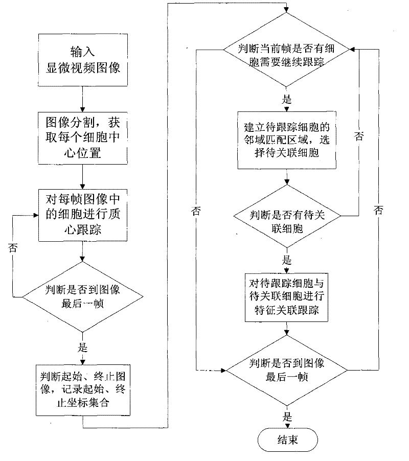 Feature associated cell tracking method based on centroid tracking frame