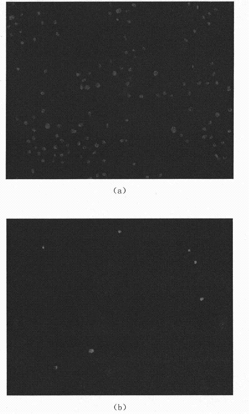 Feature associated cell tracking method based on centroid tracking frame