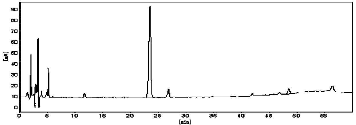 Andrographis paniculata extract and method for preparing same