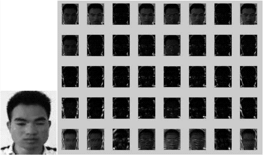 Fatigue expression identifying method based on Gabor feature and sparse representation