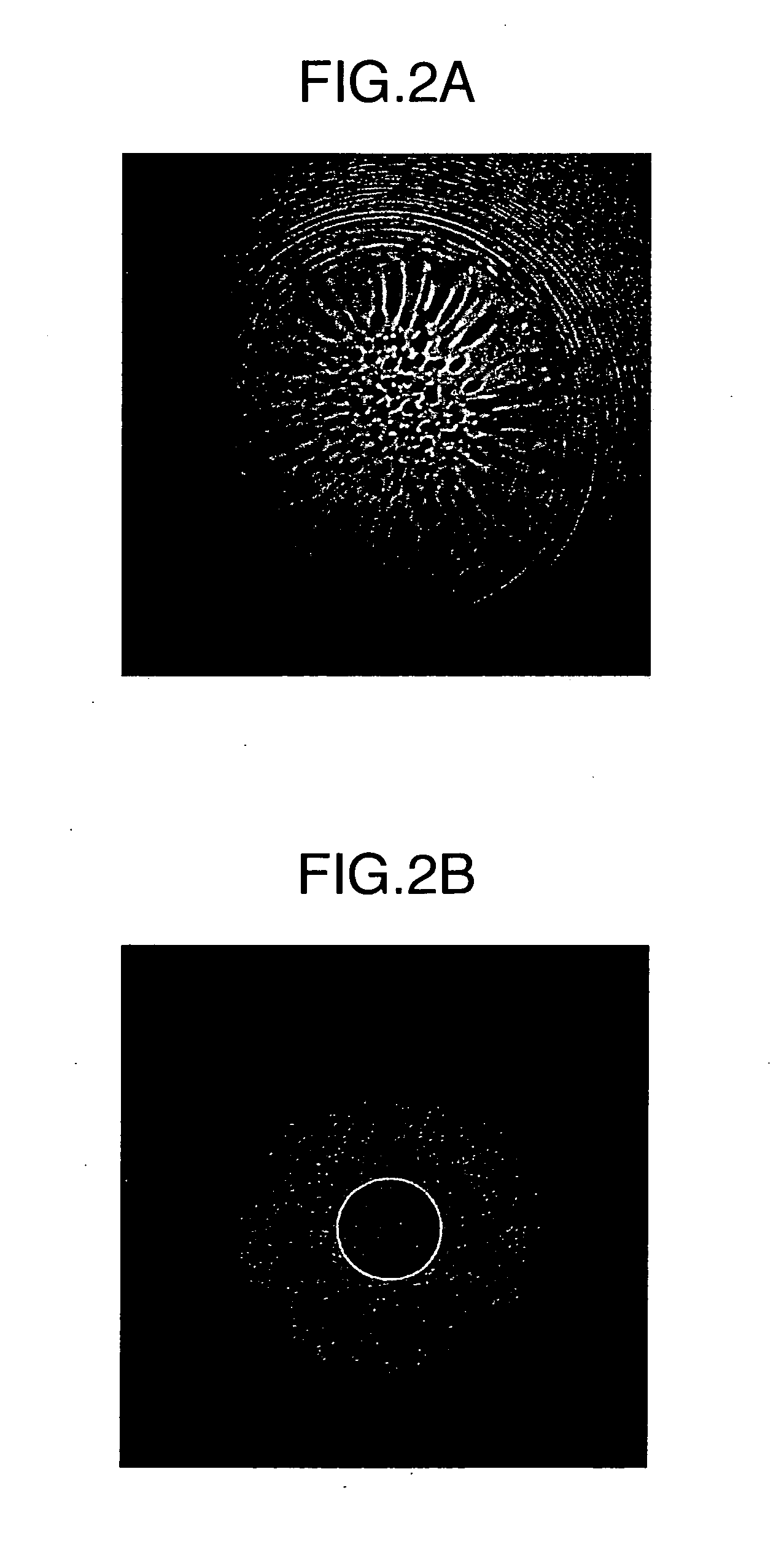 Apparatus and measuring method of aberration coefficient of scanning transmission electron microscope