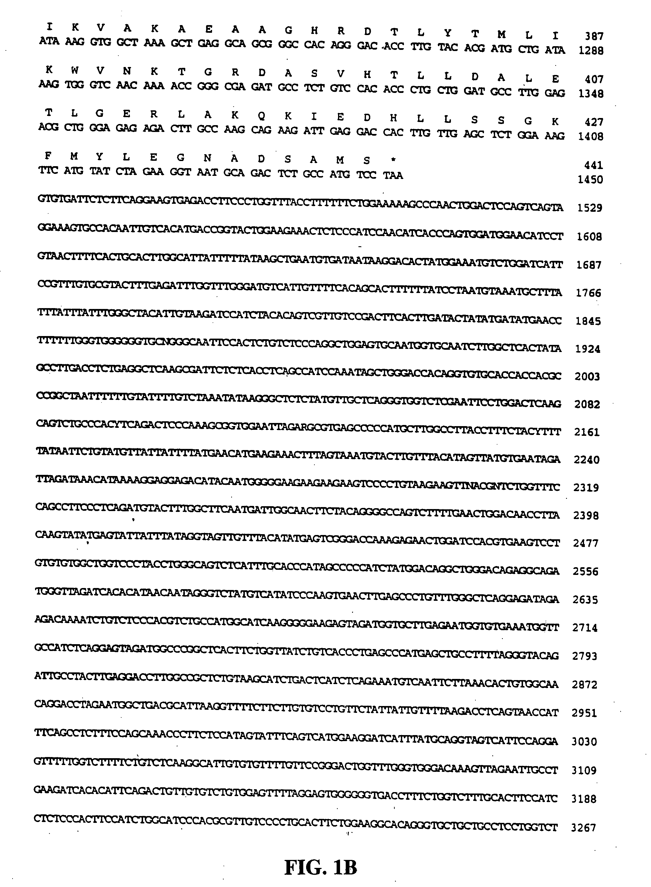 Tumor necrosis factor receptor related proteins Tango-63d and Tango-63e