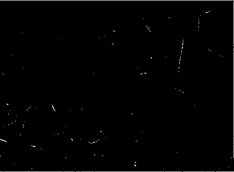 Metal organic framework material HKUST-1 and preparation method thereof