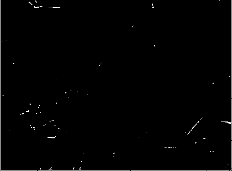 Metal organic framework material HKUST-1 and preparation method thereof