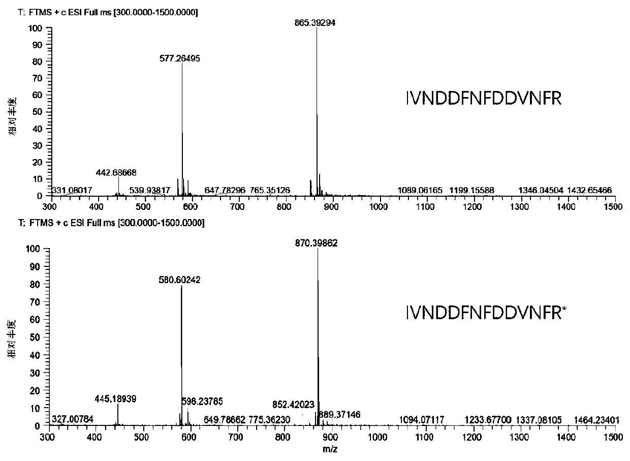 Method for quantifying Apis mellifera honey MRJP2 through liquid chromatography-tandem mass spectrometry