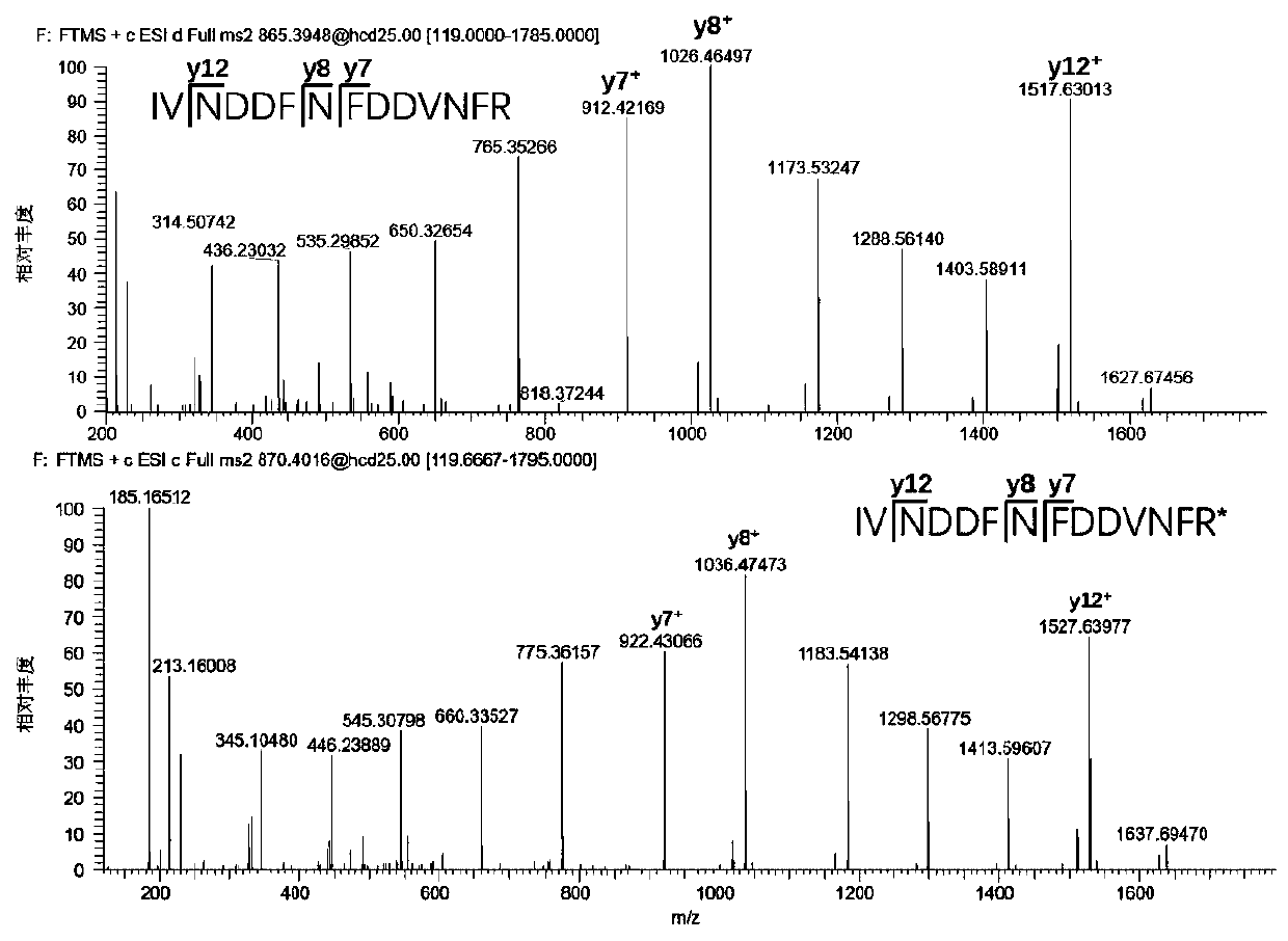 Method for quantifying Apis mellifera honey MRJP2 through liquid chromatography-tandem mass spectrometry