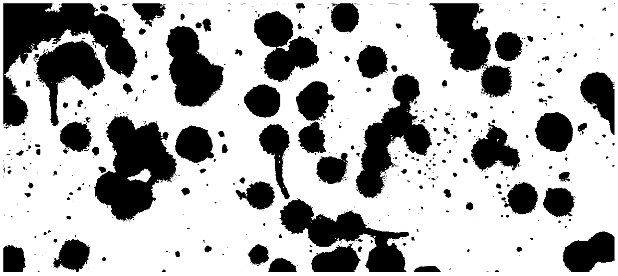 A kind of culture medium for in vitro germination of sunflower pollen and method for measuring sunflower pollen vigor