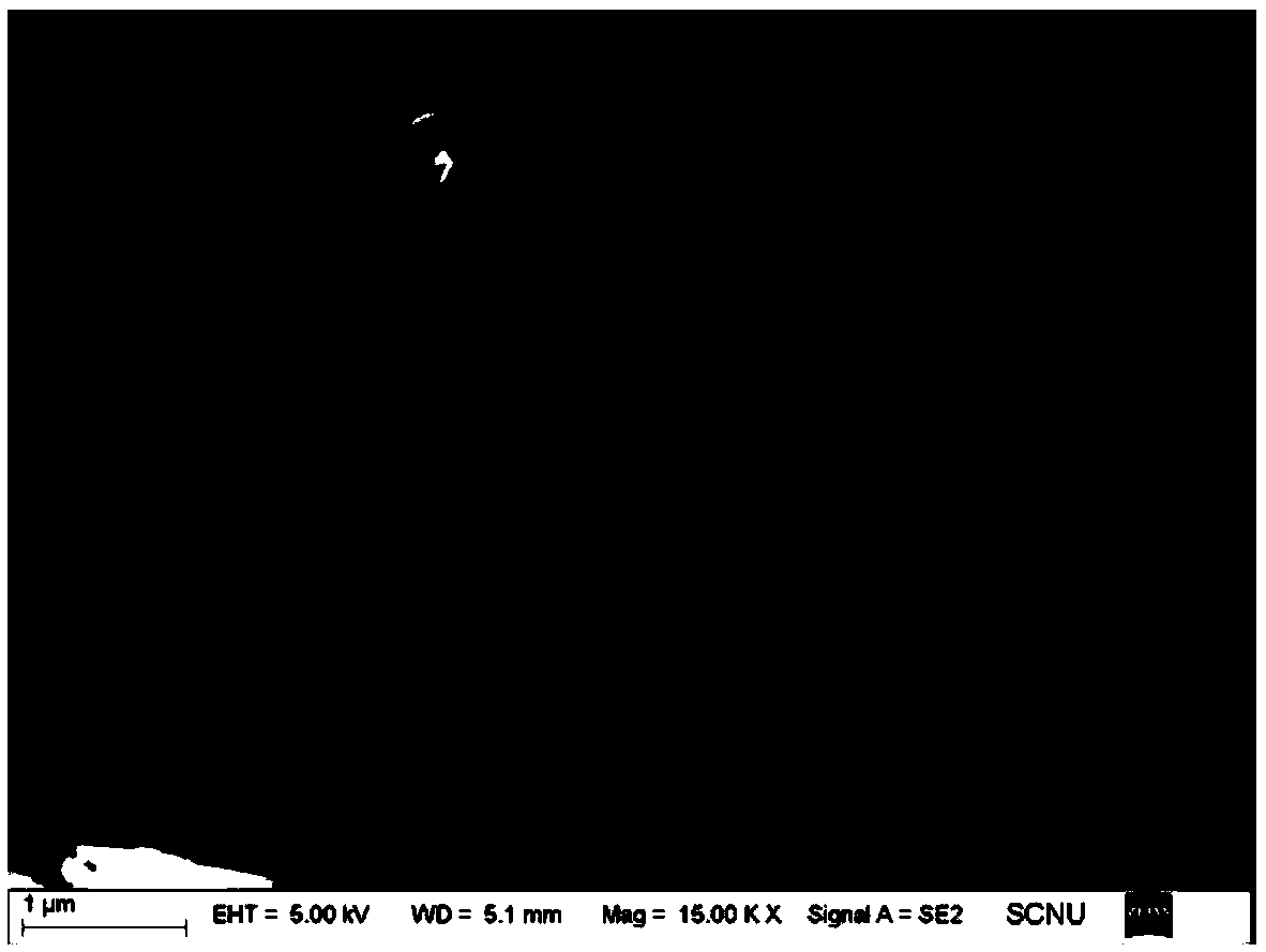 Composite photocatalyst, and preparation method and application of composite photocatalyst