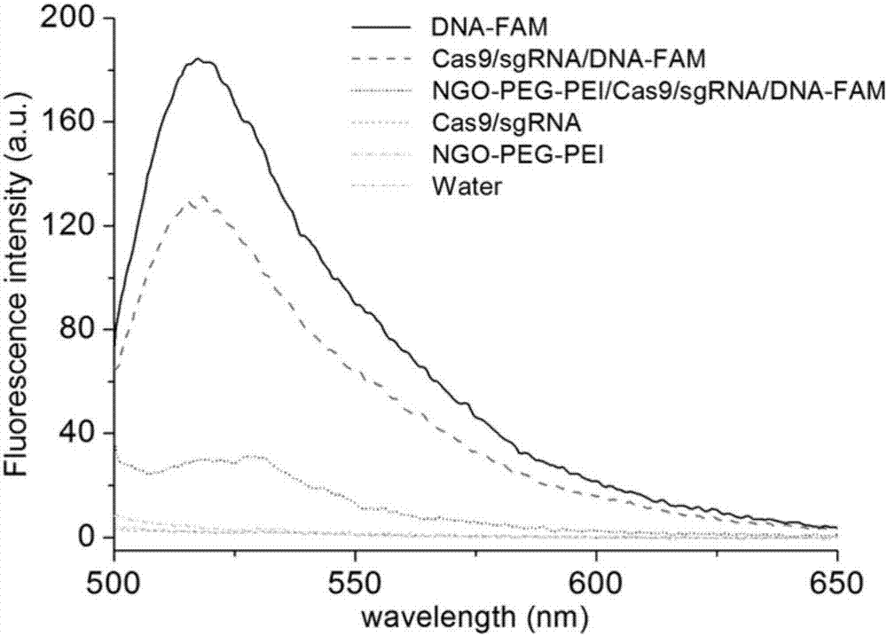 Method for efficiently carrying CRISPR/Cas9 through functionalized graphene oxide for gene editing