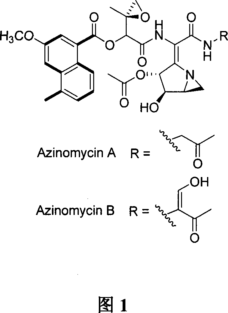 Biological synthesis gene cluster for Azintamide