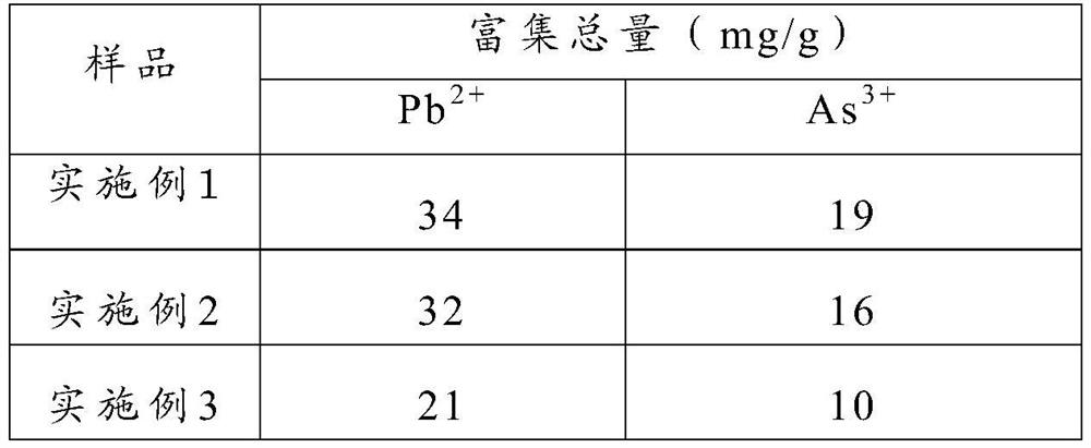 Composite biochar for preventing and treating heavy metal pollution and preparation method thereof