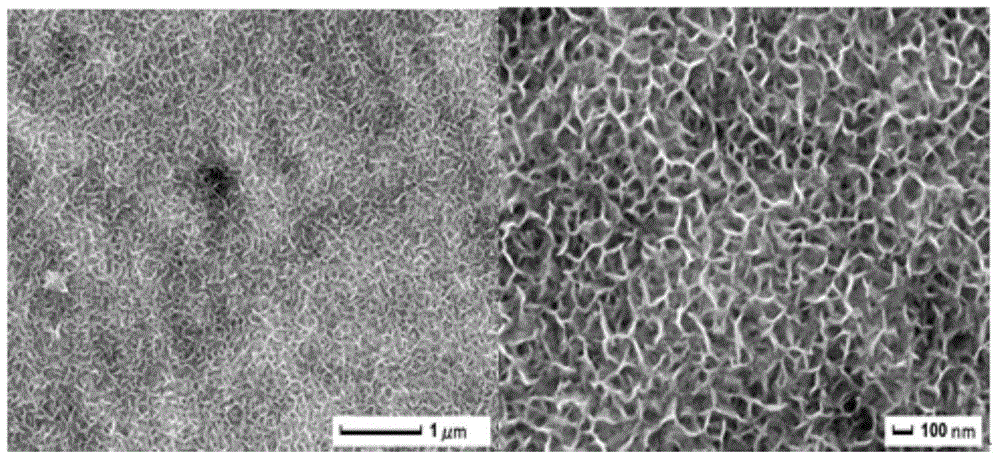 Production method of nickel-titanium alloy surface nickel-free layer