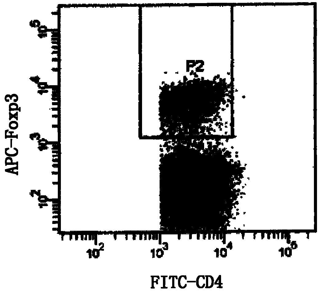 Improved method for dyeing immunofluorescence cell