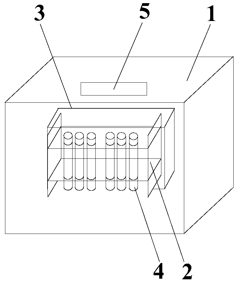 A method for quick identification of the sex of large fleas and young fleas