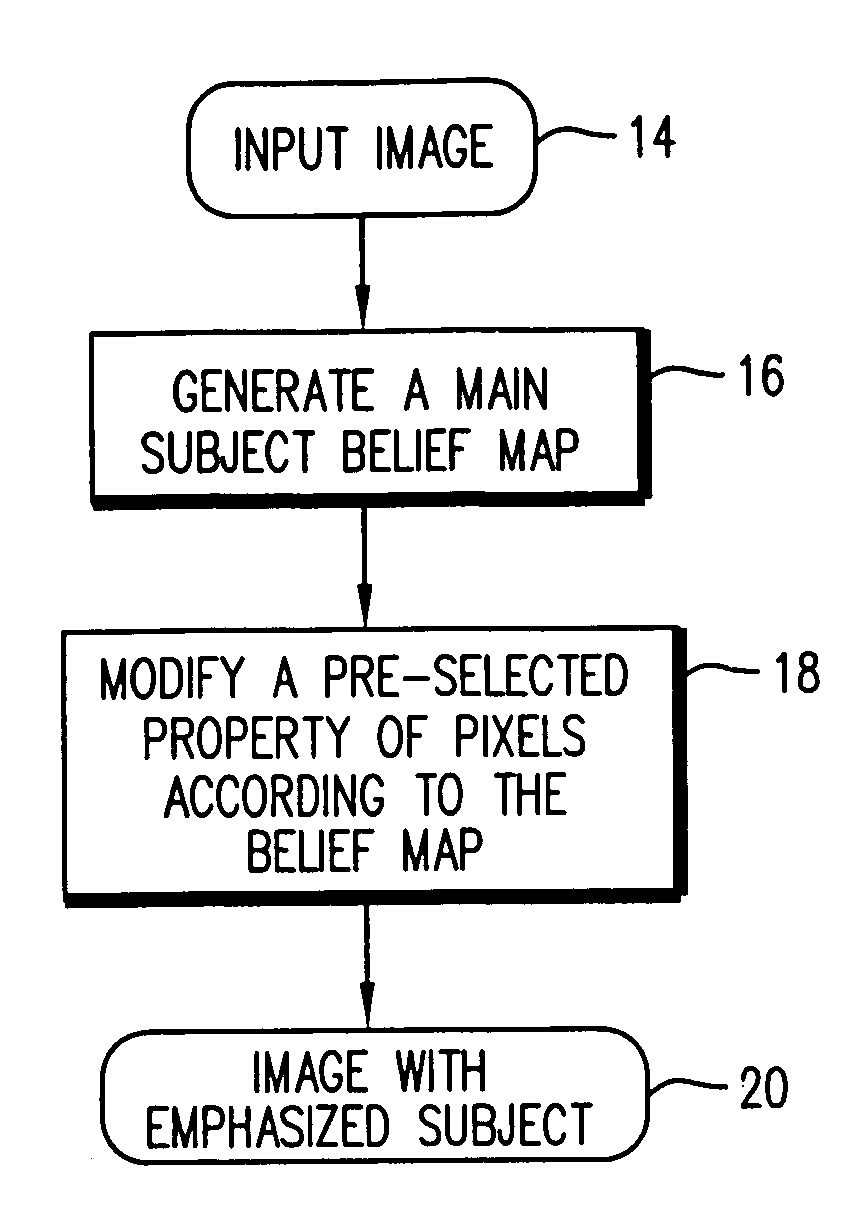 Digital image processing system and method for emphasizing a main subject of an image