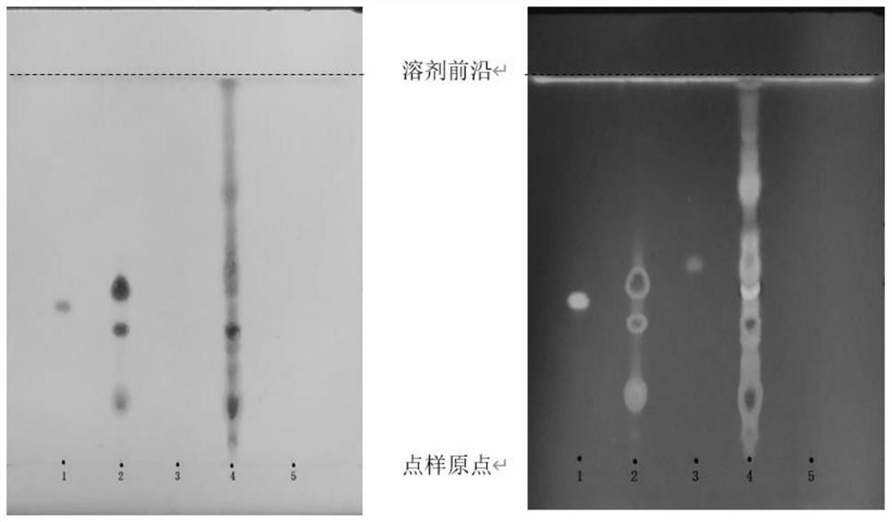 Thin-layer identification method for vitality-preserving soup and similar formula extracts and preparations thereof