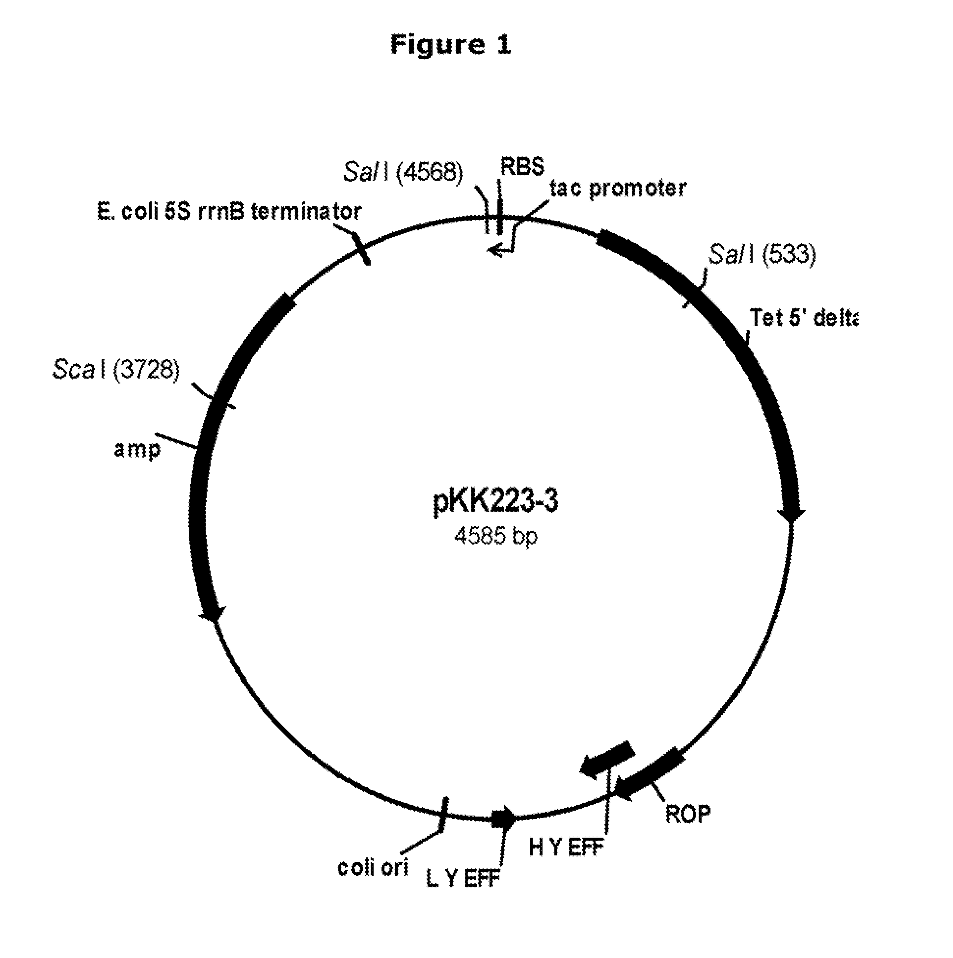 Polypeptides With Starch Debranching Activity