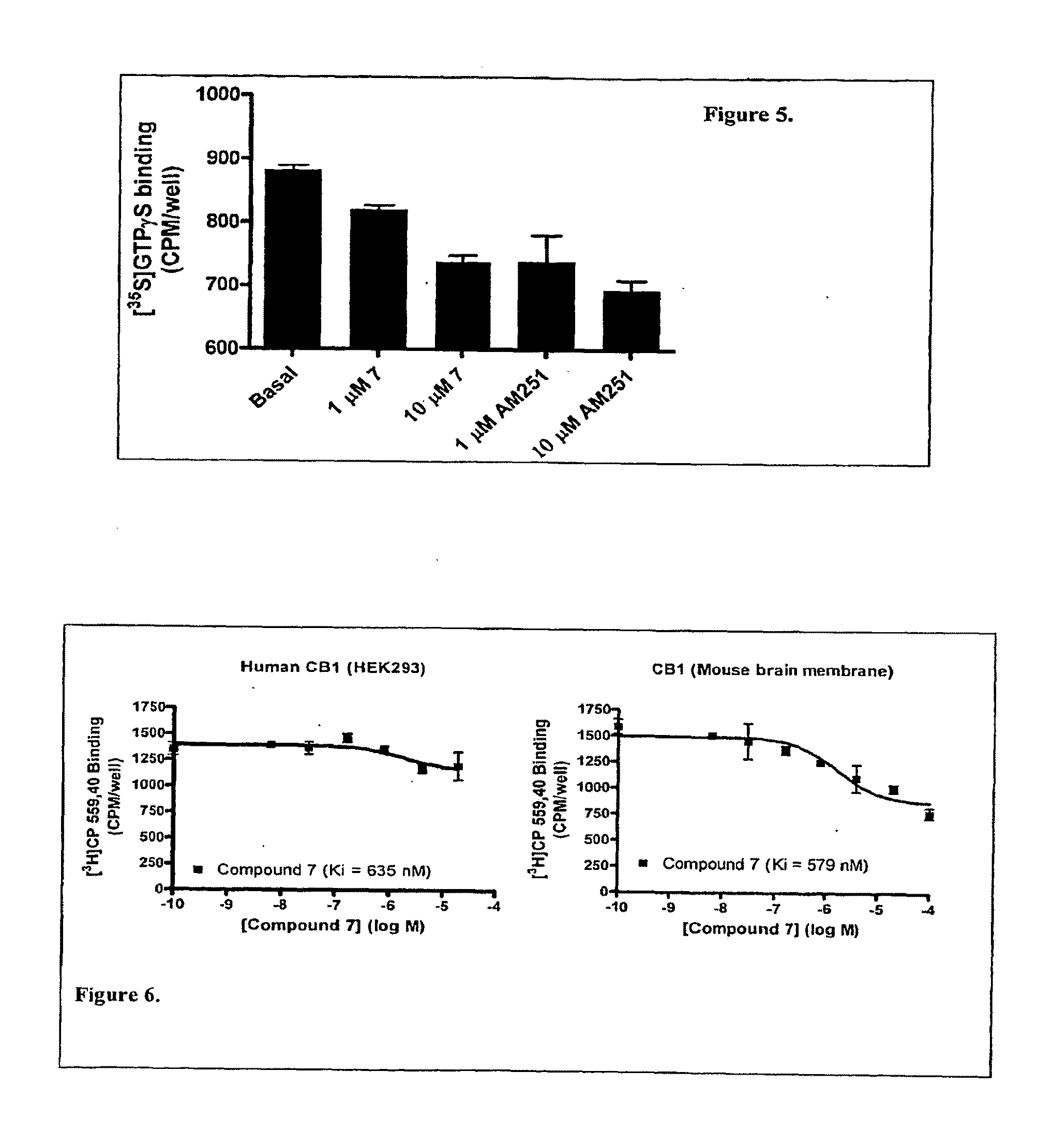 CB1 Antagonists and Inverse Agonists