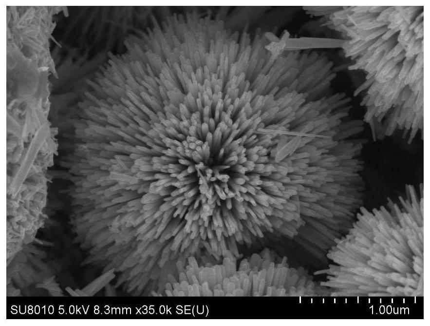 Preparation method of nano flower-like titanium dioxide@bismuth trisulfide electrode material