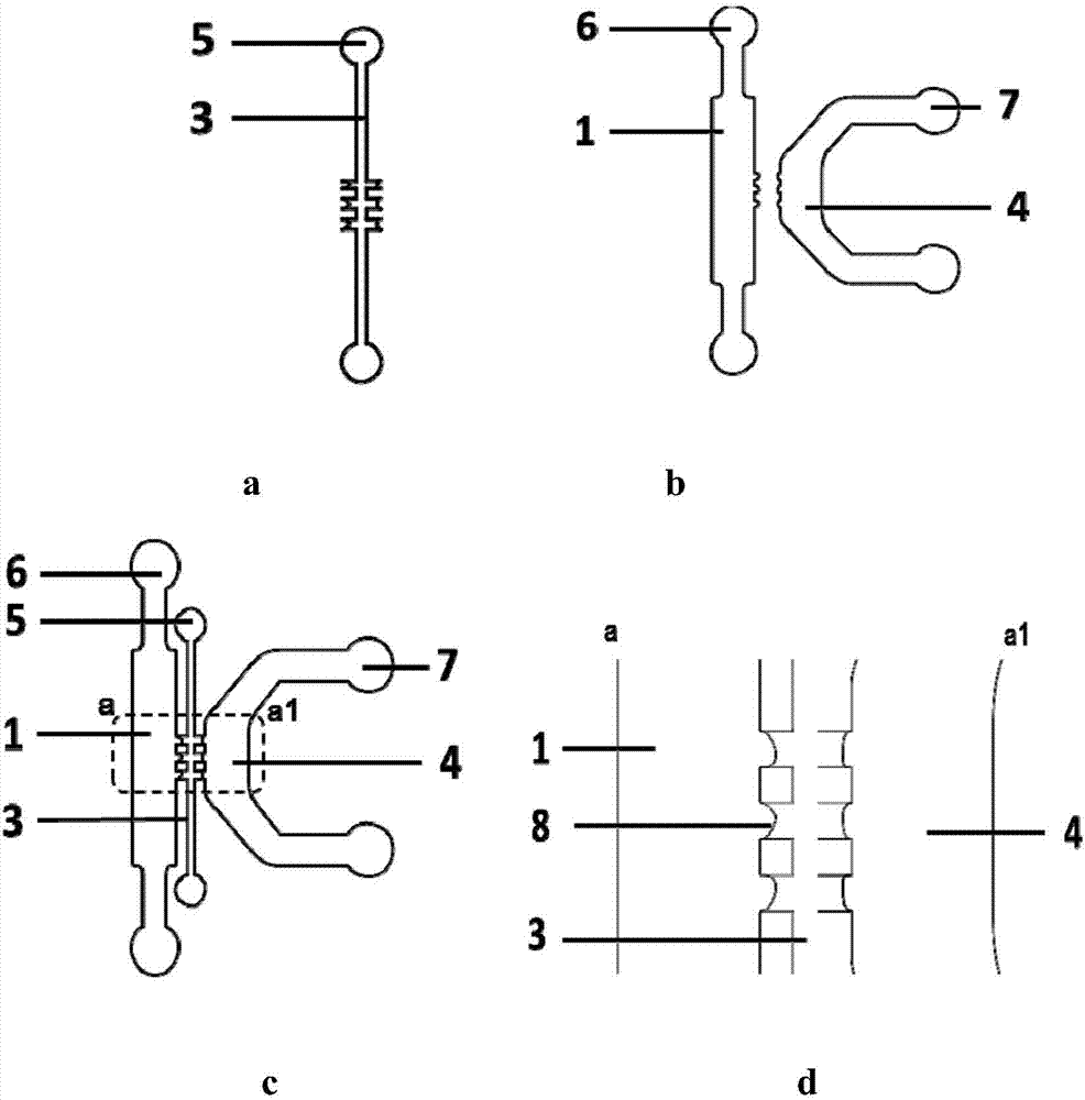 Glomerulus system based on micro-fluidic chip and applications of glomerulus system