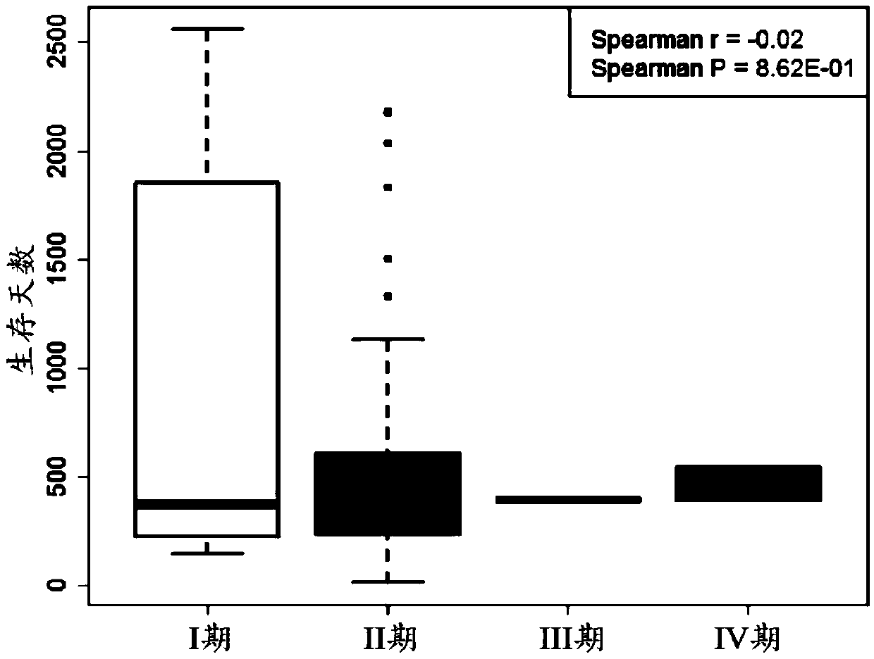 Pancreas cancer personalized prognosis evaluation method based on multi-gene expression characteristic spectrum