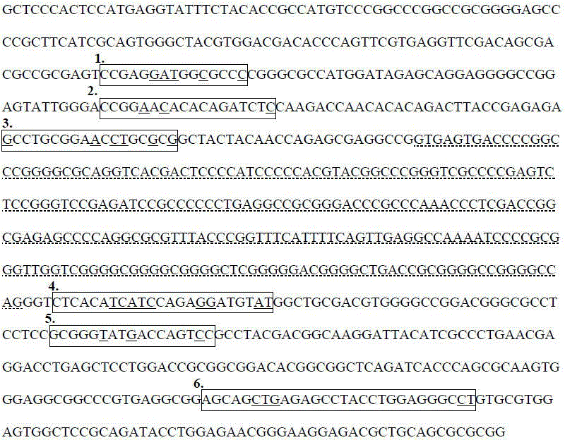 Method for qualitatively detecting HLA-B*1502 gene with PCR-SSP method and clinical kit