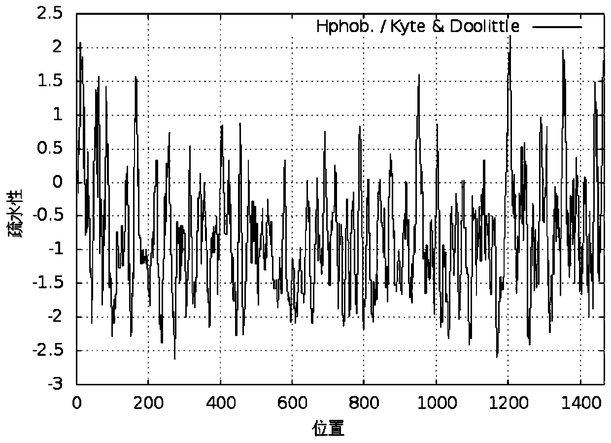 Recombinant human type III collagen, expression strain and construction method